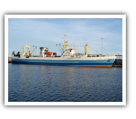 Freezer Trawler (BATM) “Lazurnyy”