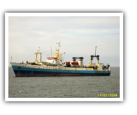 Freezer Trawler (BATM) “Zamoskvorechye”