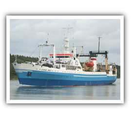 Freezer Trawler (BATM)"Staryy Arbat"